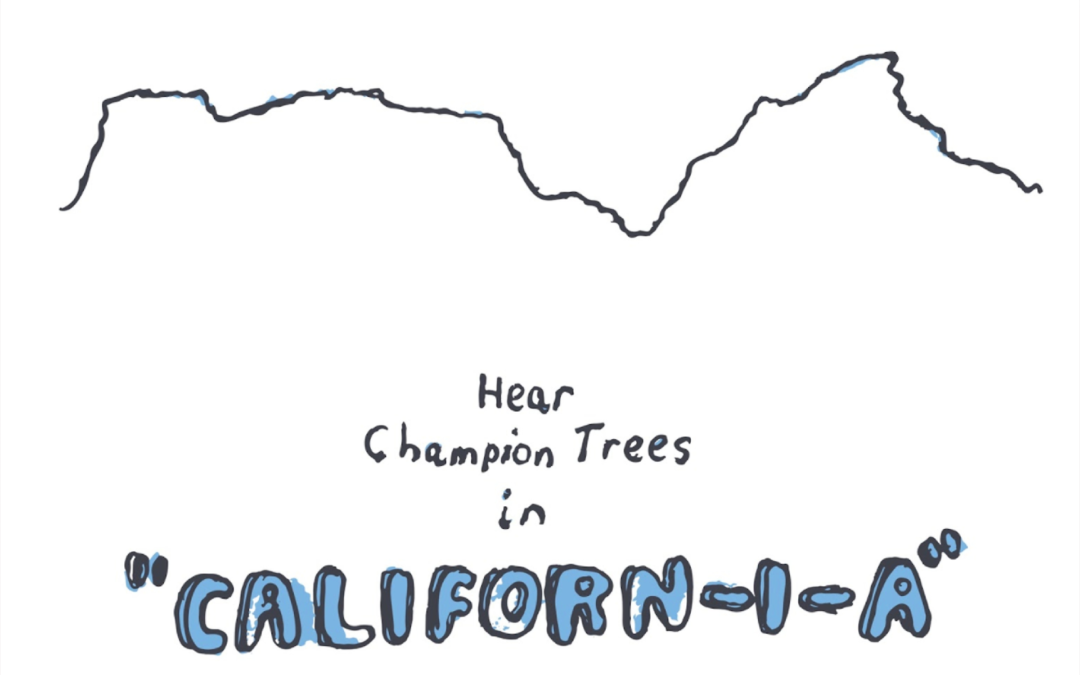 Champion Trees Release Their Memorable First Single, “Californ-i-a”